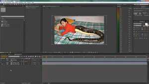 Как собрать все файлы в одну папку. Видеоуроки Adobe After Effects