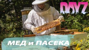 DayZ Как делать мед?