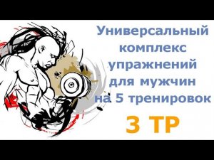 Универсальный комплекс упражнений для мужчин на 5 тренировок (3 тр)
