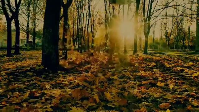 В городе тихая осень смотреть онлайн