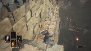 Прохождение Dark Souls 3 #55 Старший волк Фаррона Заблудшей демон