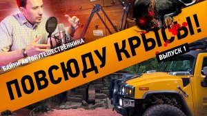 ПОВСЮДУ КРЫСЫ! | байки автопутешественника | #1