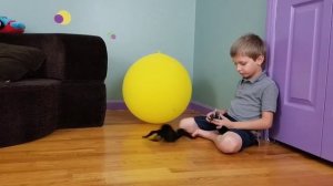Паук на пульте управления Игрушки на радиоуправлении Детские игры и видео для детей