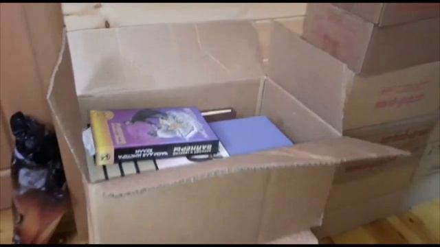 ПЕРЕВОЗИМ ДОМАШНЮЮ БИБЛИОТЕКУ смотреть онлайн