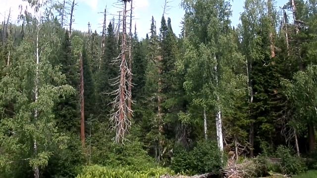 Сплав по реке б. Абакан ( остановка на Горячем ключе) часть 2 смотреть онлайн