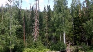 Сплав по реке б. Абакан ( остановка на Горячем ключе) часть 2