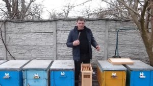 Пчелопакеты от момента покупки  до основного медосбора. Развитие, обработка клеща.