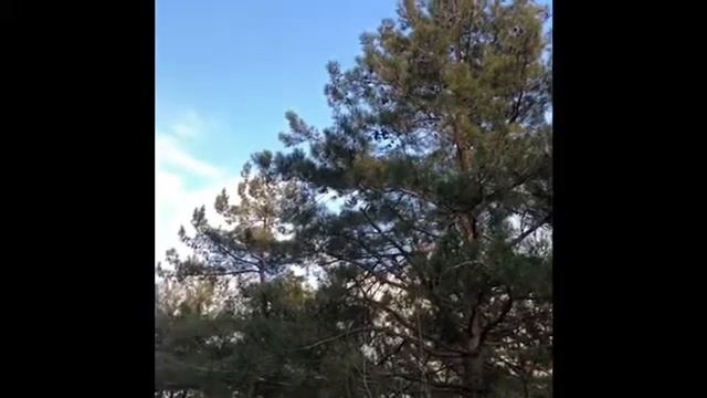 Приезжайте к нам в Геленджик ! смотреть онлайн