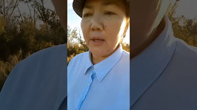 Семьдесят пятый день, утренний прогулки. Водно солевой раствор. Акмарал ханым. 05.08.22г. смотреть онлайн