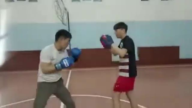 Бокс лапа тринировка смотреть онлайн