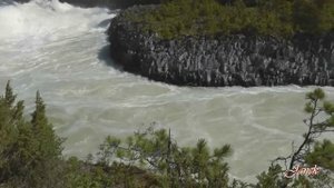 Прощай тайга