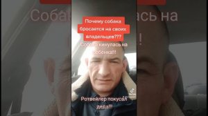 Собака бросается на своих владельцев. Собака бросилась на хозяина. Почему так бывает?