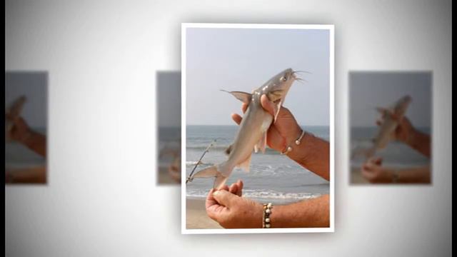 Незабываемая рыбалка и ловля крабов с Atlantis Goa Holidays смотреть онлайн