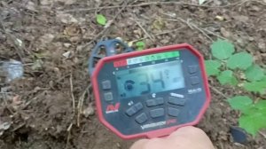 выбитые места коп ванквиш 540лето жара