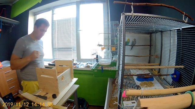 31.  ДОМ 1 для волнистых выставочных. смотреть онлайн