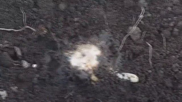 Спасение лилейника от гнили корневой шейки смотреть онлайн