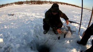 Ловля налима на реке Лена