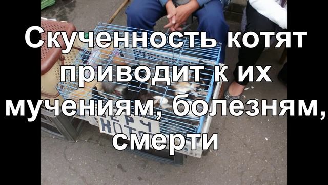 Социальный ролик о коробочниках смотреть онлайн