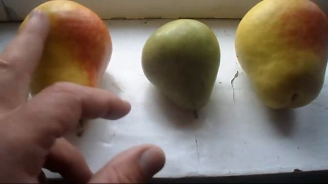 Железов Валерий Размышления о грушах смотреть онлайн