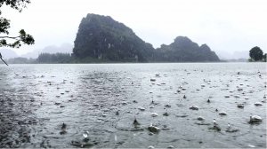 Дождь. Расслабляющий дождь чтобы уснуть за 5 минут