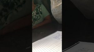 Электричество в СОНТ