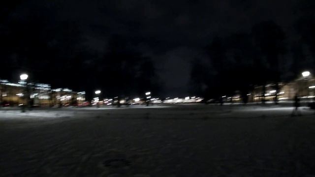 Главная площадь Петербурга Заросла