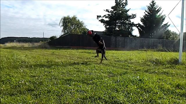 Деревенский футбол