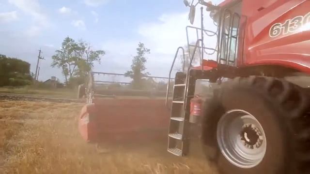 Case IH Новые комбайны Case IH Axial Flow на полях ГК Альтаир смотреть онлайн