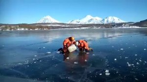 Камчатские спасатели освободили утку из ледяного плена