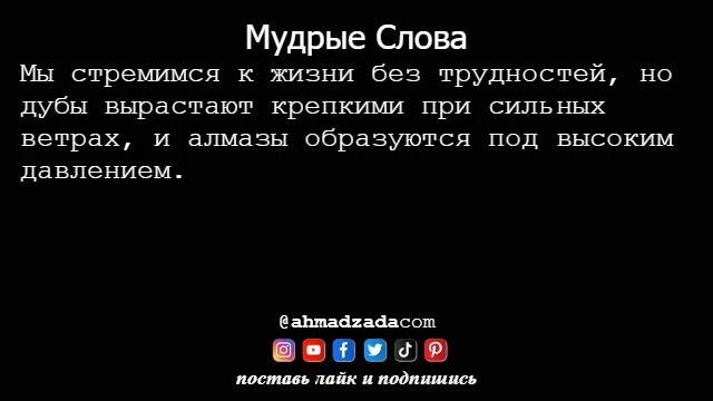 Мудрые Слова 42