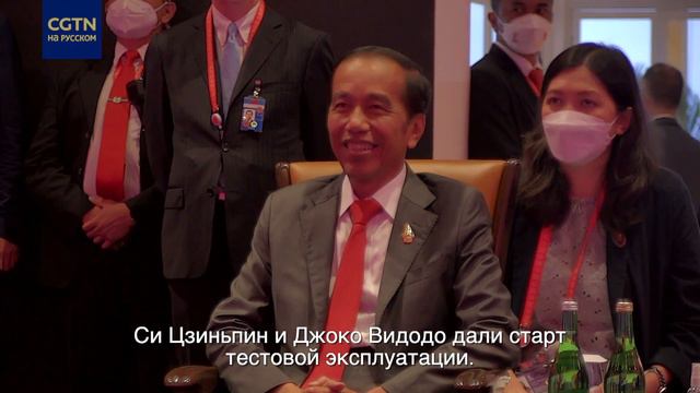 Си Цзиньпин и Джоко Видодо дали старт тестовой эксплуатации ж:д Джакарта Бандунг