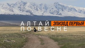 Горный Алтай I Три дня новых впечатлений и 2000 км сочных красок весны I Мотопутешествие