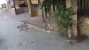 Судак улица Морская гостиницы частные