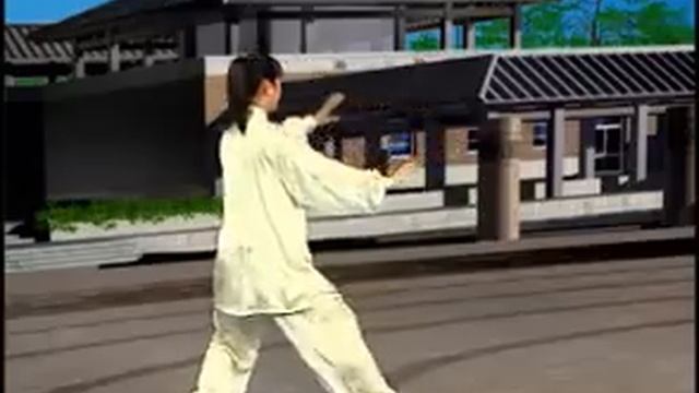 24 Simplified Tai Chi (back view) Demonstration смотреть онлайн