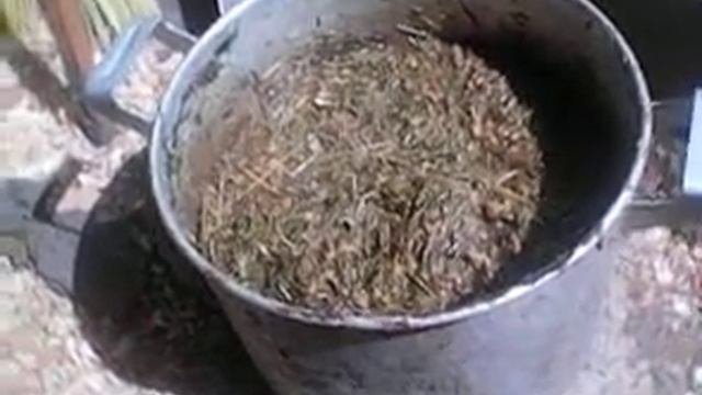 каша для вьетнамских поросят ч 3 смотреть онлайн