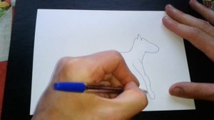 Рисование: Как нарисовать КОНЯ поэтапно (ДЛЯ НАЧИНАЮЩИХ). How to DRAW a HORSE?