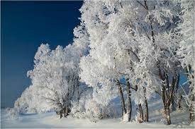 СИНЕЙ ИНЕЙ. ВИА ГОЛУБЫЕ ГИТАРЫ. смотреть онлайн