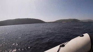 Плаваю на лодке по Волге в районе Самарской луки. Птичий базар. Лето 2021.