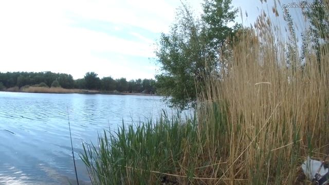 Открытие весенне летнего сезона2020 КАРАСЬ ЛЕЩ ПЛОТВА на инлайн рыбалка в Актобе р Илек смотреть онлайн