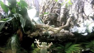 Melbourne Aquarium HD