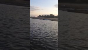 Поселок Каменное ХМАО Выход медведя в поселок 7 сентября 2018