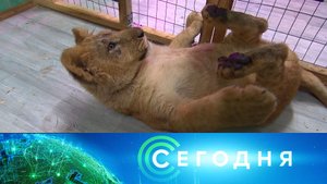 «Сегодня»: 8 января 2024 года. 10:00 | Выпуск новостей | Новости НТВ