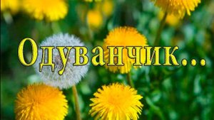 Одуванчики цвели в мае*