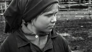 1969 год. Тюменская область. Откорм телят