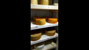 Пресс для Сыра / Сыроварни  Тремасова /Доступный пресс для сыра / Пневматический пресс для сыра