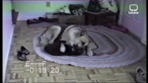 Pop Corn Tv - Episode 1