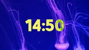 30 Minute Beautiful Jellyfish Timer with Soothing Music