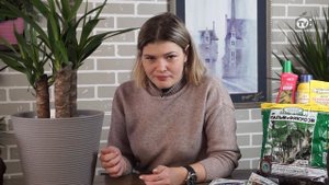 Вы ухаживаете за Юккой НЕ ПРАВИЛЬНО ? Почему Юкка желтеет
