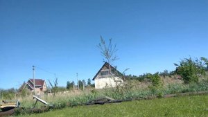 Как выровнять газон.