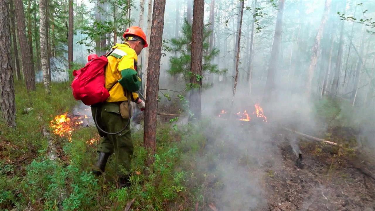 В Якутии огнем охвачены 600 тысяч гектаров леса